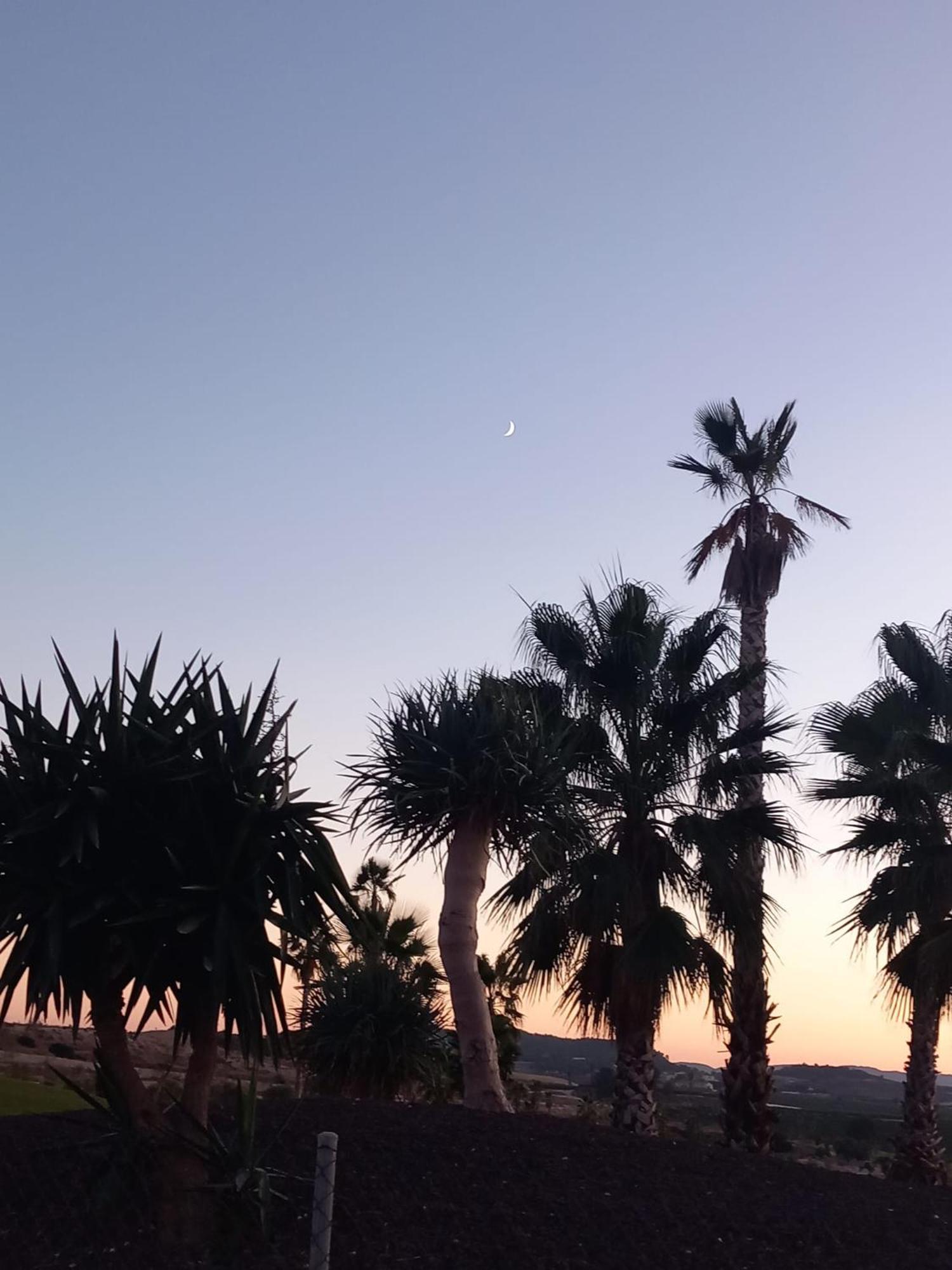 A With A Sun View